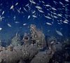 Lost Ships Of Rome / Římské vraky u ostrova Ventotene / 1080