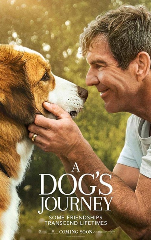 A Dog's Journey / Psí poslání 2 (2019)