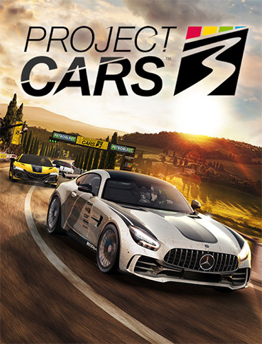 Re: Project Cars 3 (2020)