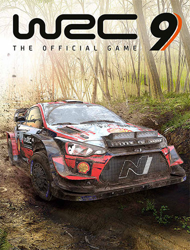 Re: WRC 9 FIA World Rally Championship (2020)