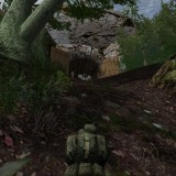 Re: Elite Warriors: Vietnam (2005)