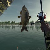 Re: Ultimate Fishing Simulator (2018)