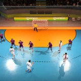 Re: Handball 21 (2020)