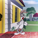 Looney Tunes Volume 1 (1936-1966) / EN