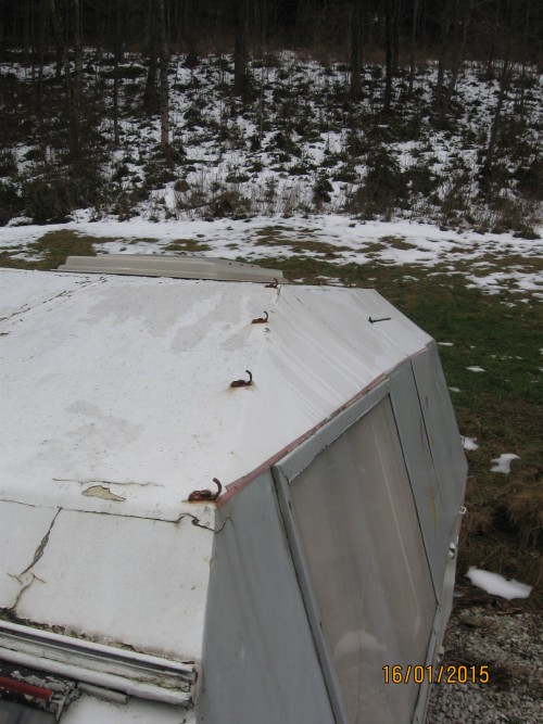 IMG4264.jpg