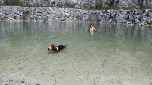 IMG0440.jpg