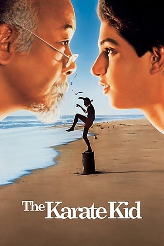 Re: Karate Kid / Karate Kid, The (1984)