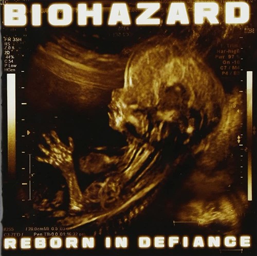 biohazard_-_reborn_in_defiance_cover_a1.jpg