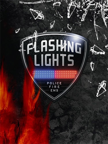 Re: Flashing Lights: Police, Firefighting, Emergency... (202
