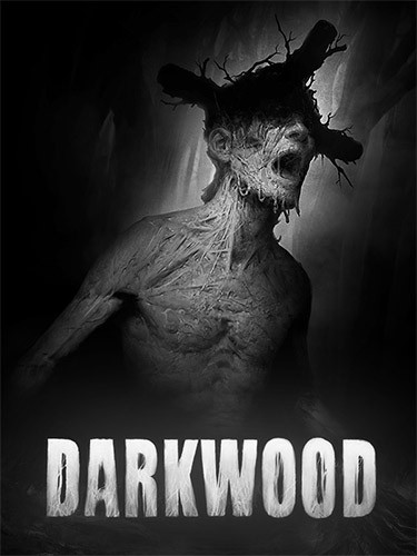 Re: Darkwood (2017)