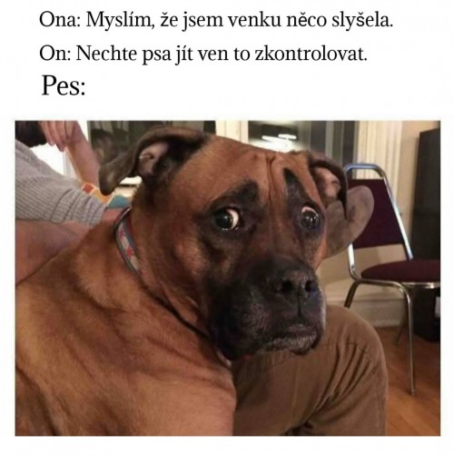 1000040595.jpg