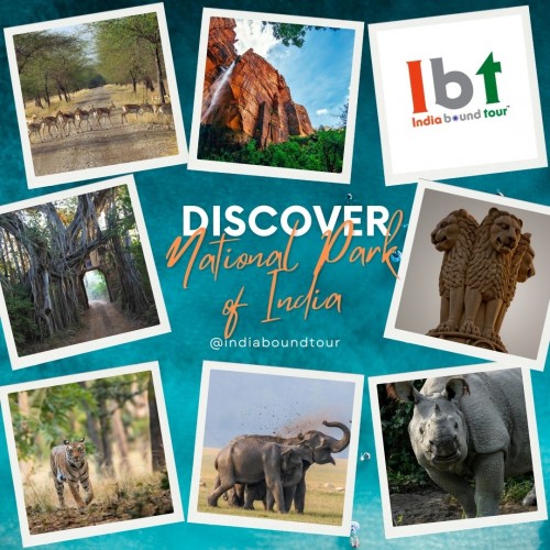 Discover-National-Park-of-India.jpg