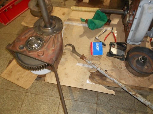 DSCN3571.jpg