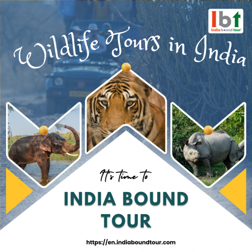 Wildlife-Tours-in-India.png