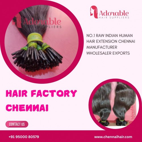 Hair-factory-chennai-..jpg