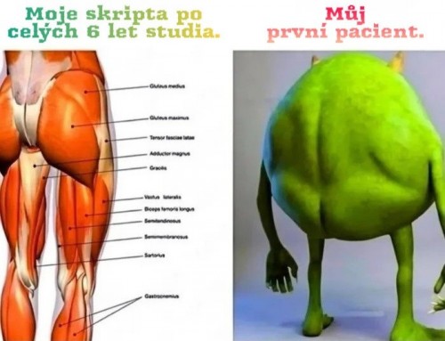 1000048138.jpg
