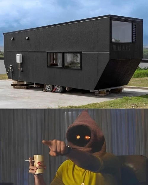 1000049831.jpg
