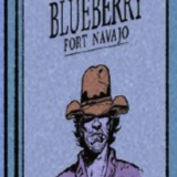 blueberry-fort-navajo.png