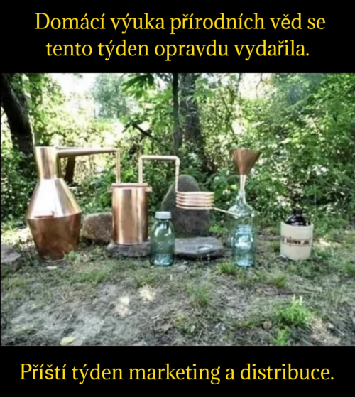 1000049931.png