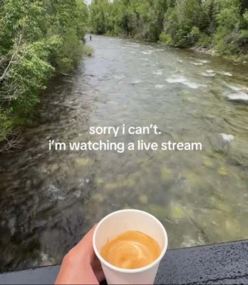 1000052797.jpg