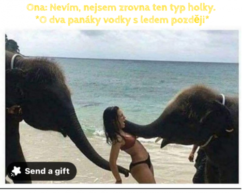 1000054745.png