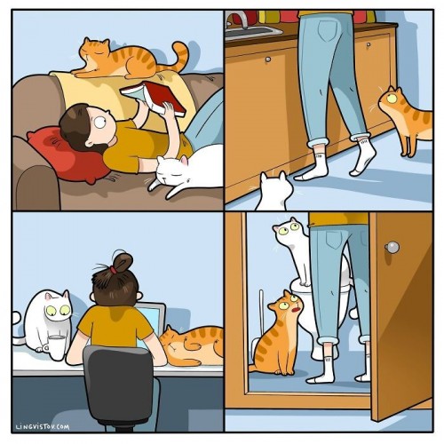 1000057048.jpg