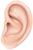 ucho.png