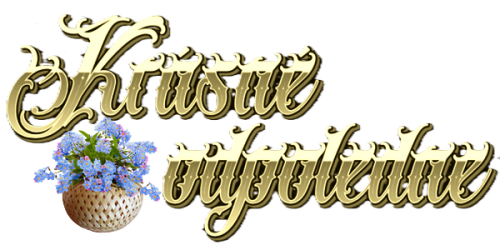 Nepojmenovany-nffkop.png